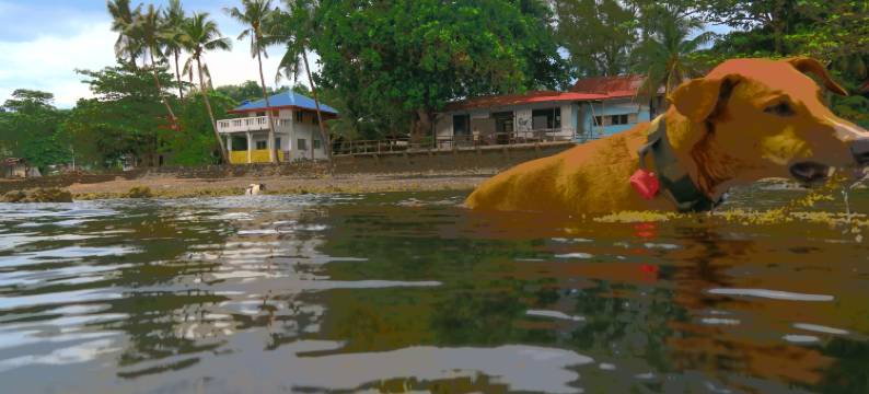 帕希尔德尔玛潜水度假酒店(Paseo Del Mar Seaside Inn)图片