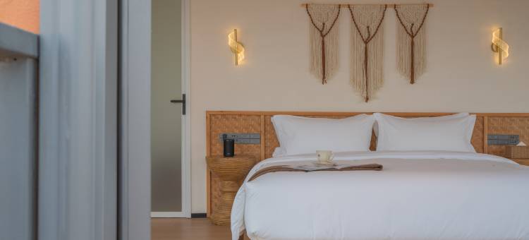 一听·采桑湖观鸟民宿图片