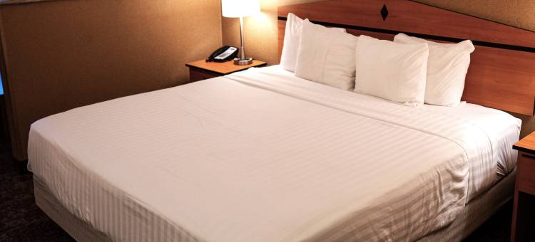 米德瓦利水晶套房酒店(Crystal Inn Hotel & Suites - Midvalley)图片
