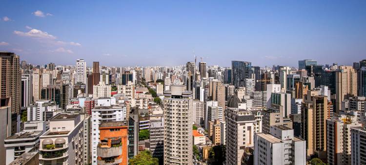 圣保罗伊塔伊姆怡思得酒店(INNSiDE by Meliá São Paulo ITAIM)图片