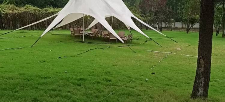 棣花之都青年公寓图片