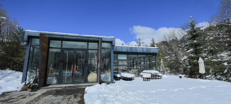 澜舍 Serene Haven 套房酒店(长白山美人松雕塑公园店)图片