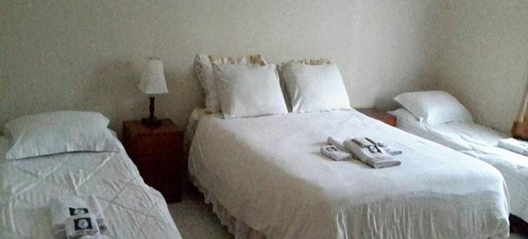 白玫瑰旅馆(Whiterose Guesthouse)图片