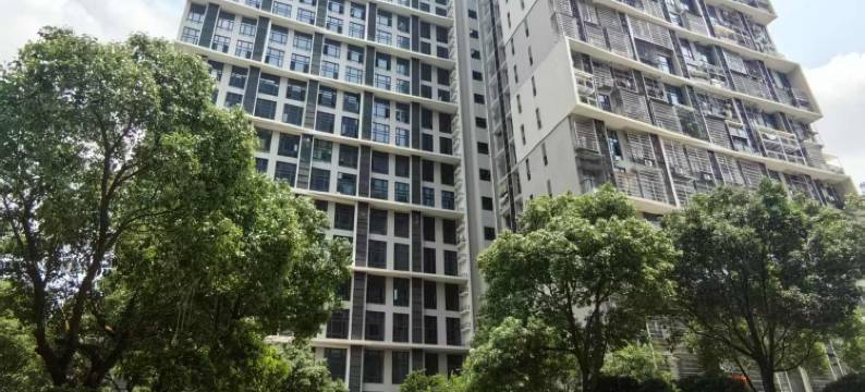 鑫玥国际公寓(广州永和开发区克拉广场店)图片