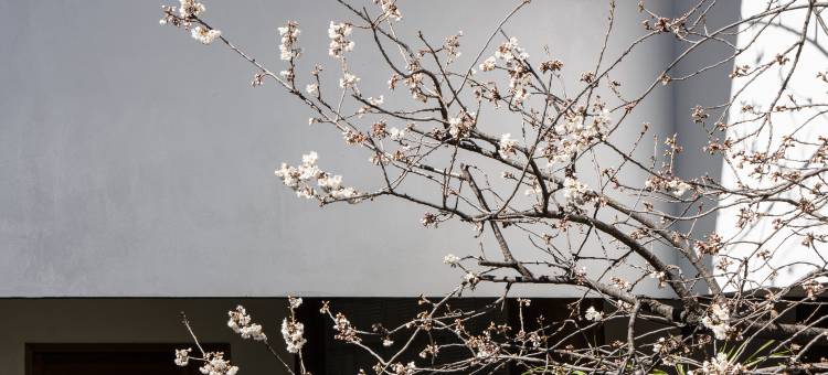 丽江古城宽上酒店图片