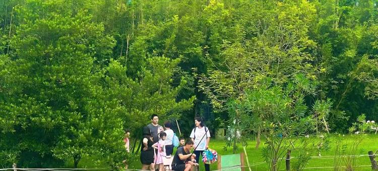 广州北纬23°8森林营地图片