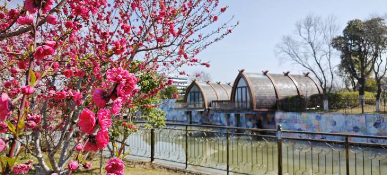 上海小木屋花园度假村图片