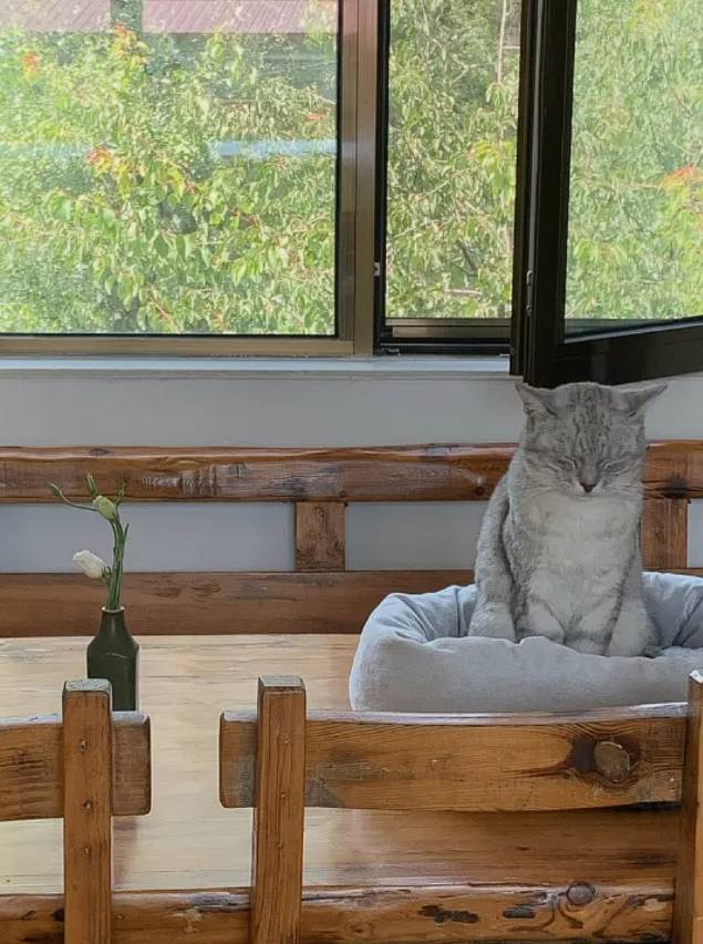 吐鲁番葡萄泉客栈(葡萄沟景区店)图片