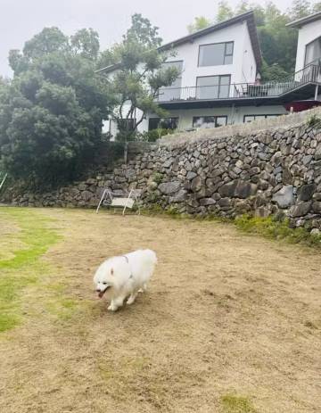 桐庐云溪上精品设计民宿图片