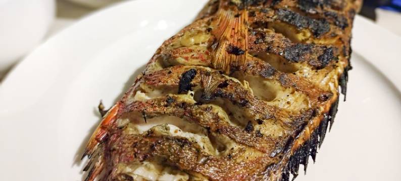 马尔代夫羽毛酒店(Plumeria Maldives)图片