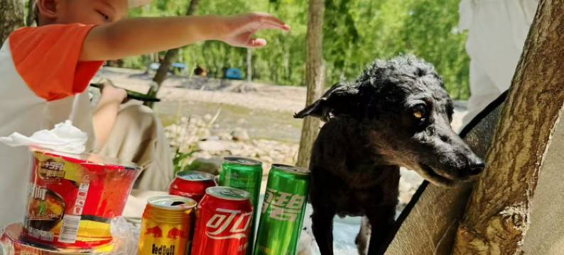 本溪县居枫缘农家院图片