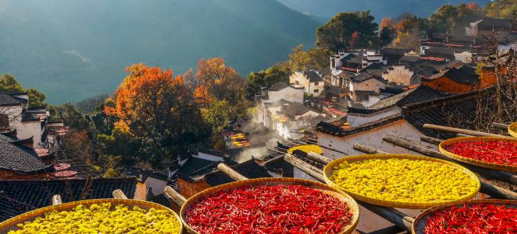 隐溪·溯溪度假美宿(篁岭风景区店)图片