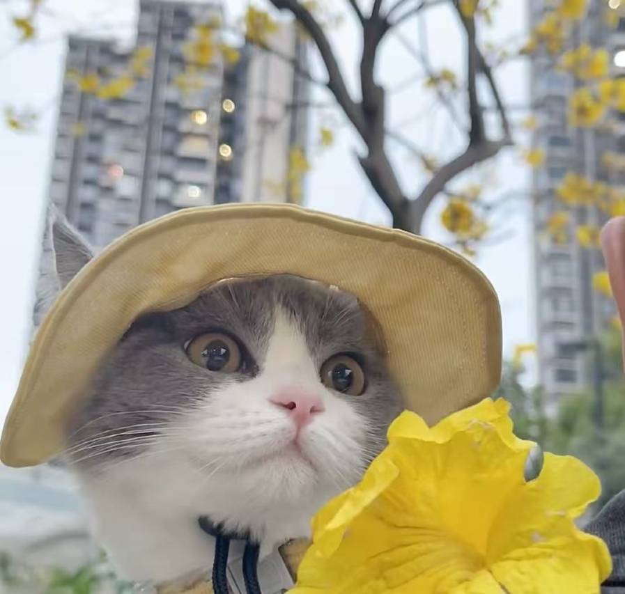 东成里民宿(忻州古城店)图片