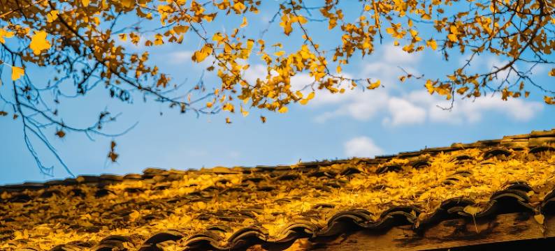 腾冲美尔翡翠皇冠建国酒店(文星楼砚湖公园店)图片