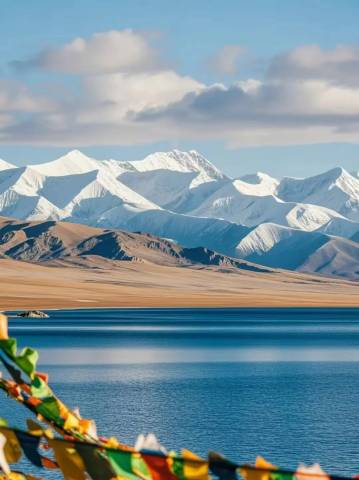 当雄当秀富氧酒店(汽车站店)图片