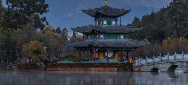 花筑·九品堂ㅣ百年古树Century Tree·森氧疗愈院墅(束河古镇店)图片