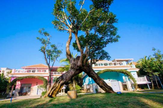 hotel overview picture