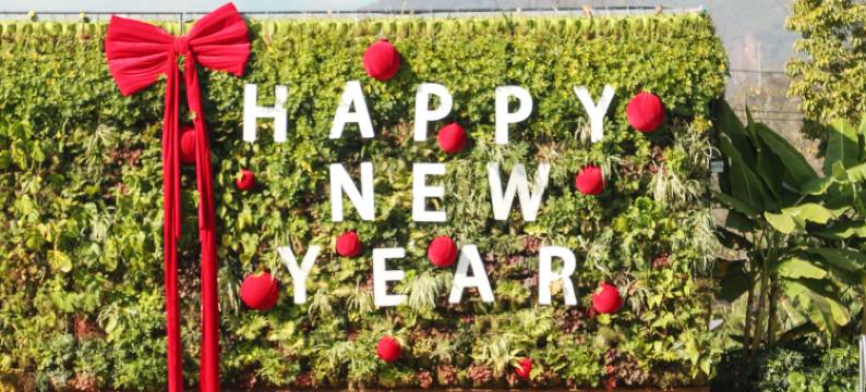 禄丰锶泉酒店图片