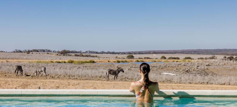 莫纳托野生动物园度假村(Monarto Safari Resort)图片