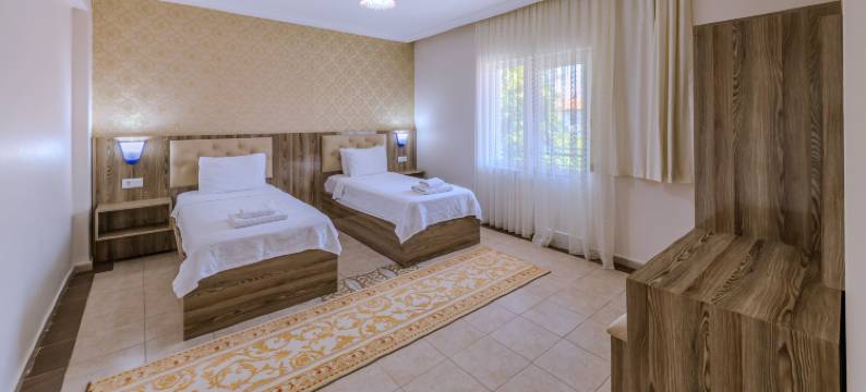 敦达尔 热酒店(Afyon Dundar Thermal Villa)图片