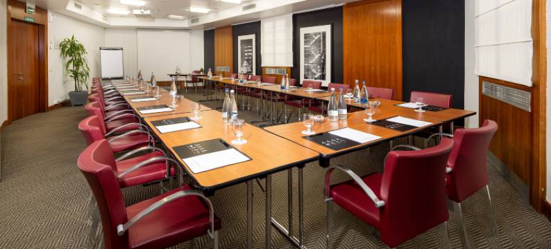 米兰加里波底门车站假日酒店(Holiday Inn MILAN - GARIBALDI STATION by IHG)图片