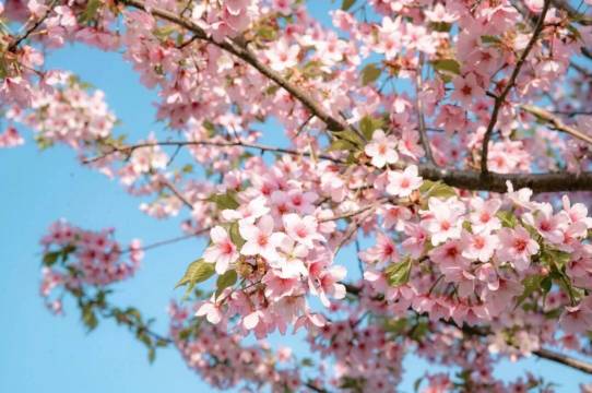 盐城大洋湾颐和湖畔酒店图片