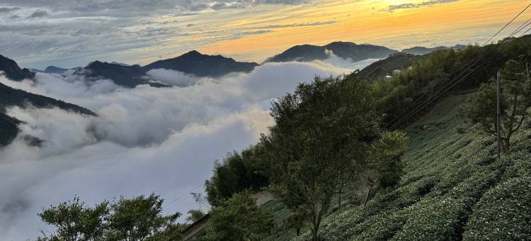 泰森會館图片