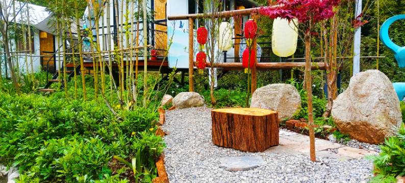 绵阳安州蝴蝶谷凡朴泓逸民宿图片