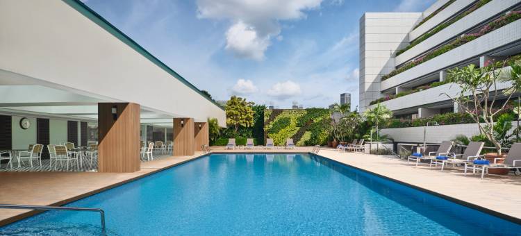 新加坡凱煌大酒店(Concorde Hotel Singapore)图片