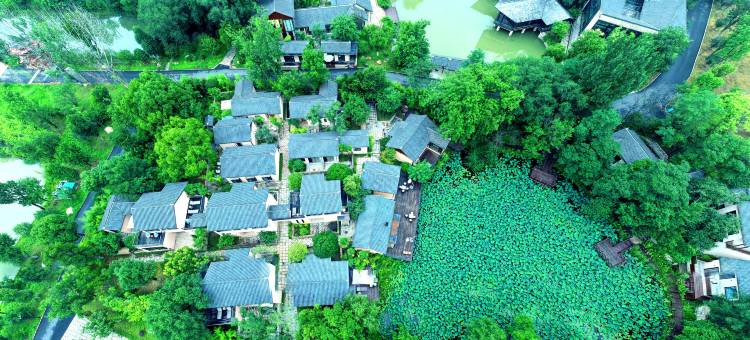 合肥厵村图片