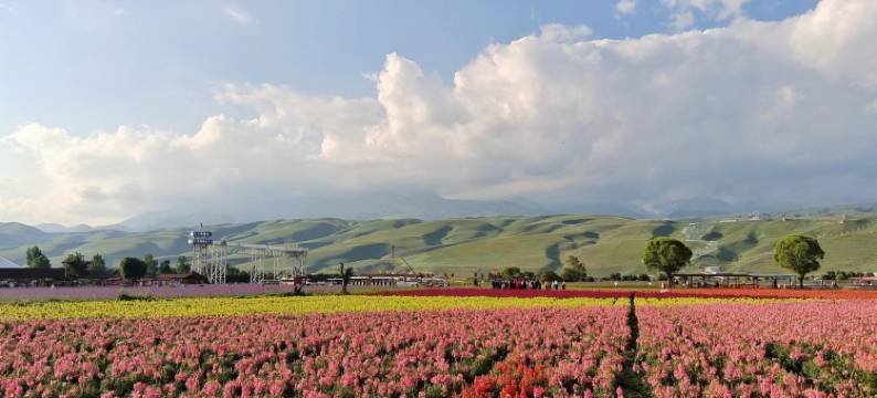 新源马学虎乡村客栈图片