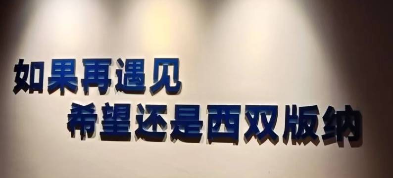 西双版纳景洪慢调空间青年旅社(曼听公园店)图片