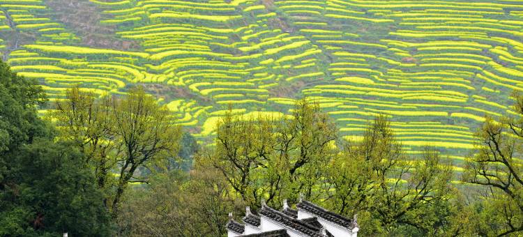 婺源玉上坊·山中古风美宿(篁岭风景区店)图片