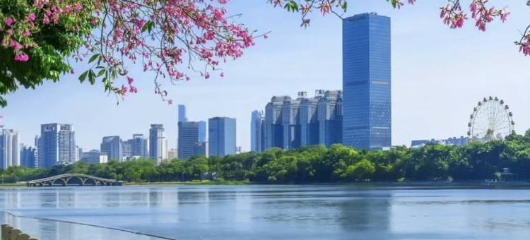 南宁景都国际大酒店(南湖公园滨湖路地铁站)图片