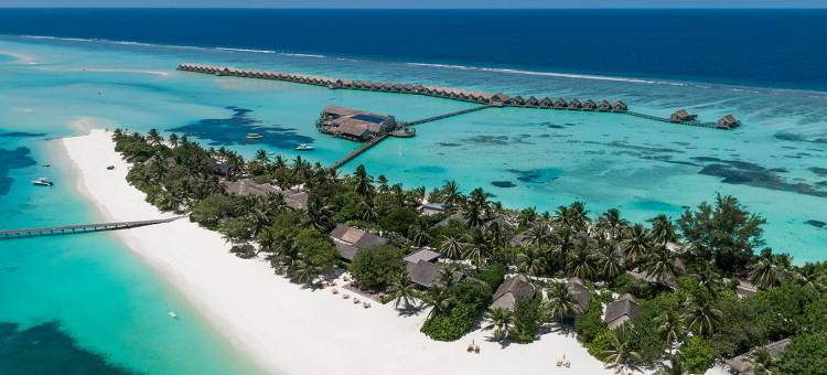 马尔代夫丽世南阿里环礁度假村(LUX* South Ari Atoll)图片