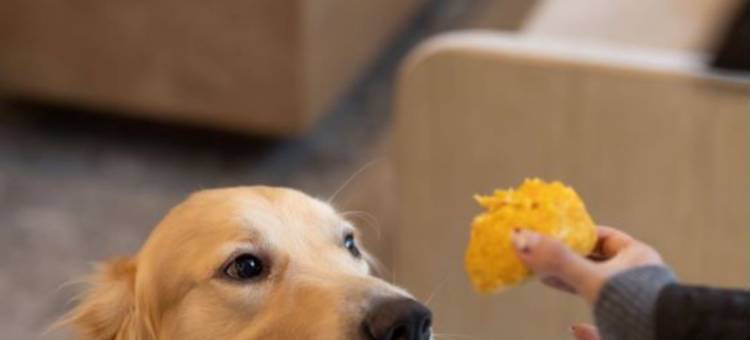 苏州树山花间堂·云泉图片