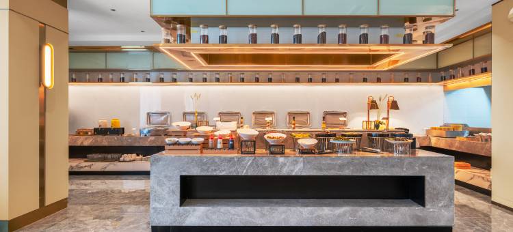 濮阳高铁东站新东路美仑酒店图片