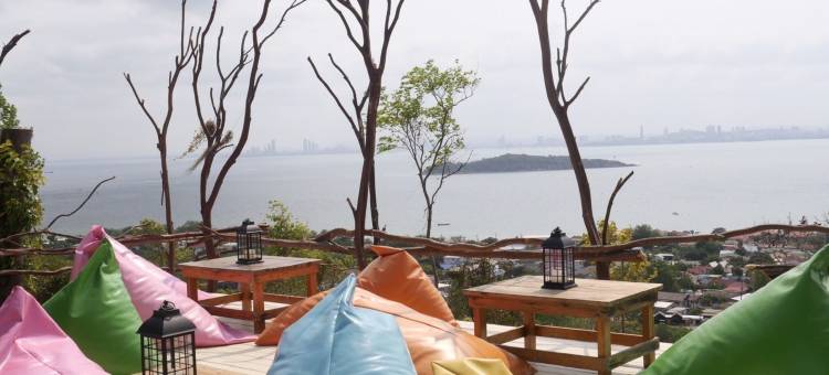 帕琳雅山民宿咖啡馆(Parinya Hill Homestay & Cafe)图片