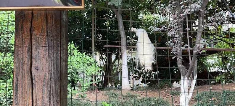 唯朵民宿(南京长江大桥店)图片