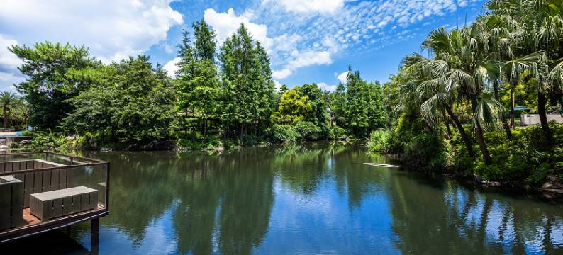 碧桂园样板房全境岛屿湖畔别墅图片