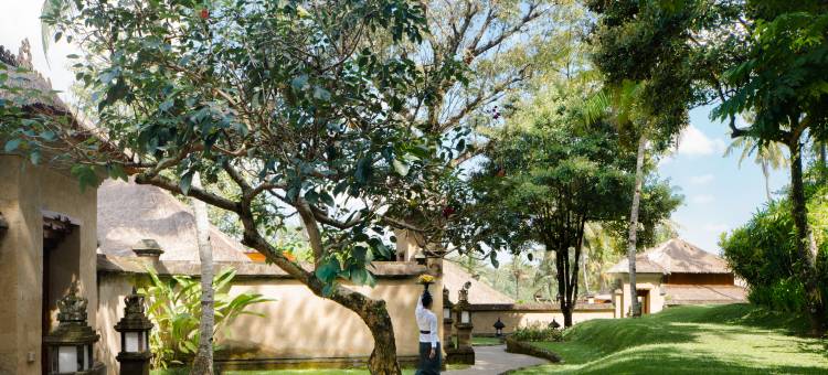 安缦黛宁(Amandari)图片