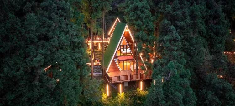 源山雅院·森林静逸民宿(雅安上里店)图片