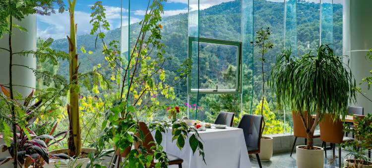 长臂猿度假酒店图片