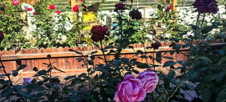 御清阁客栈(承德避暑山庄火车站店)图片