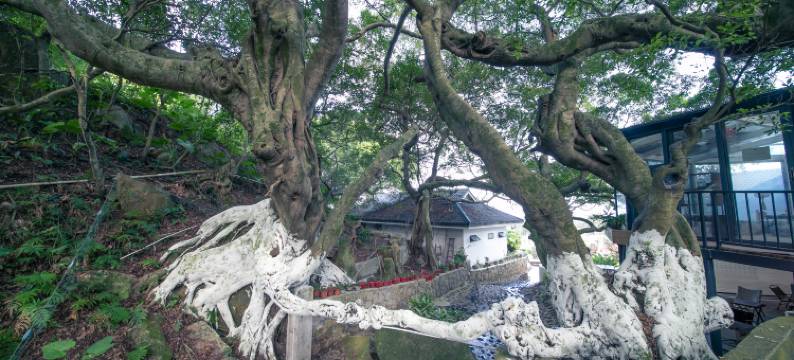 南澳榕昇归厝民宿(三囱崖灯塔店)图片