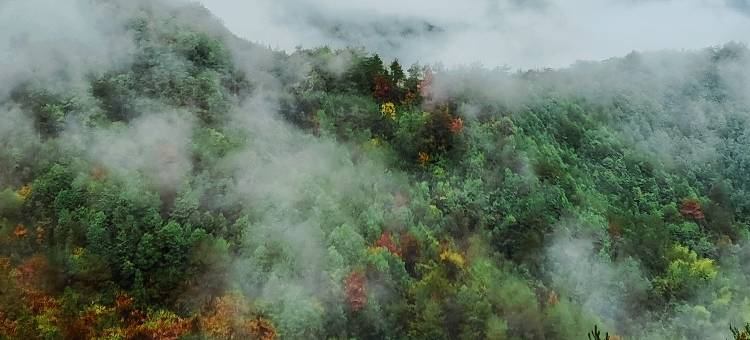 磐安磐山云隐民宿图片