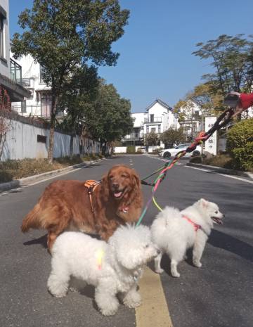 英德奥园温泉度假海鸟栖居民宿图片
