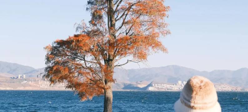 大理龙龛码头●柿野SHIYE丨Cafe Coco设计师美宿(摩洛哥天台店)图片