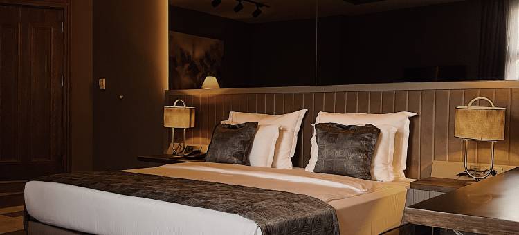 四大豪华酒店(Four Mansions Hotel)图片