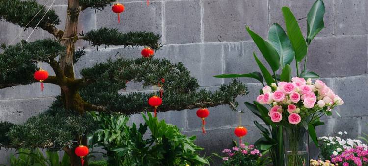 腾冲枕清风客栈(和顺古镇店)图片